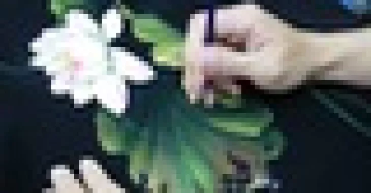 Bạn trẻ miệt mài với nét vẽ trên vải áo dài